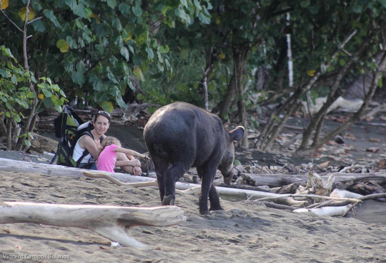 Drakes BayTapirus Playa公寓 外观 照片